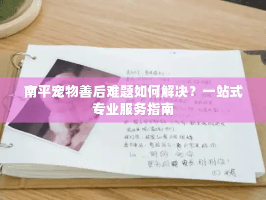 南平宠物善后难题如何解决？一站式专业服务指南