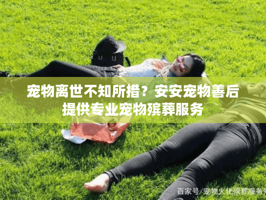 宠物离世不知所措？安安宠物善后提供专业宠物殡葬服务