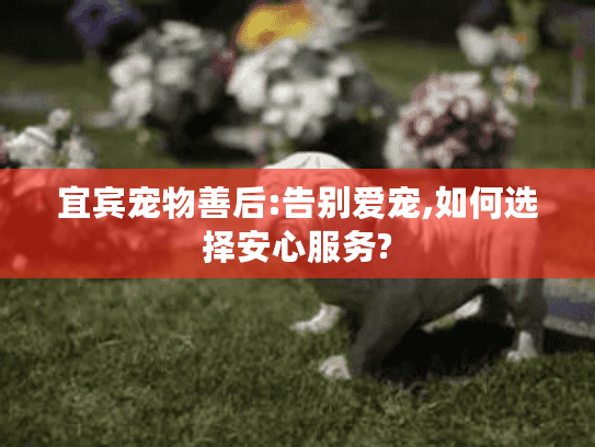 宜宾宠物善后:告别爱宠,如何选择安心服务? 宜宾宠物善后:告别爱宠,如何选择安心服务?