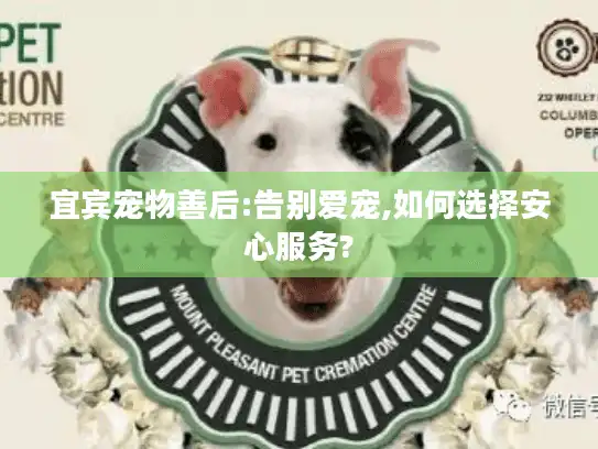 宜宾宠物善后:告别爱宠,如何选择安心服务? 宜宾宠物善后:告别爱宠,如何选择安心服务?