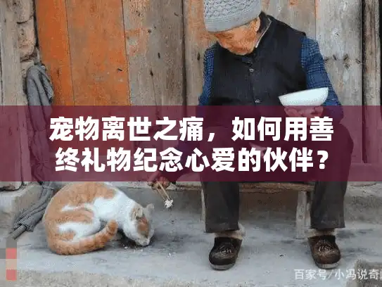 宠物离世之痛，如何用善终礼物纪念心爱的伙伴？
