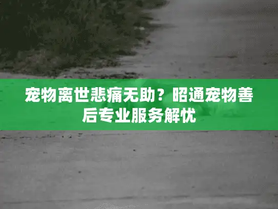 宠物离世悲痛无助?昭通宠物善后专业服务解忧 宠物离世悲痛无助?昭通宠物善后专业服务解忧