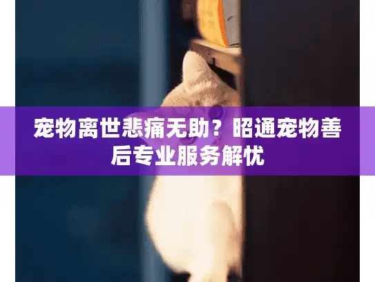 宠物离世悲痛无助?昭通宠物善后专业服务解忧 宠物离世悲痛无助?昭通宠物善后专业服务解忧