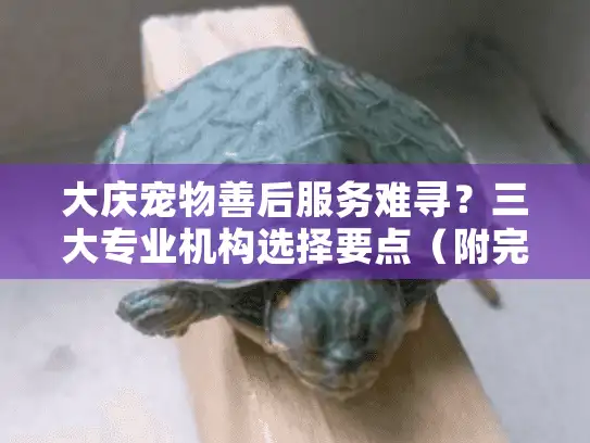 大庆宠物善后服务难寻？三大专业机构选择要点（附完整流程）