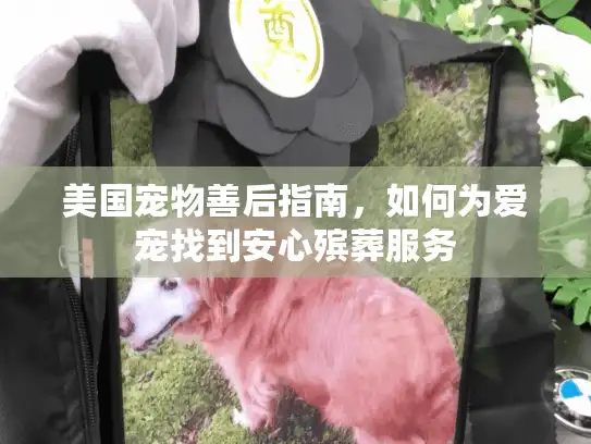 美国宠物善后指南,如何为爱宠找到安心殡葬服务 美国宠物善后指南,如何为爱宠找到安心殡葬服务