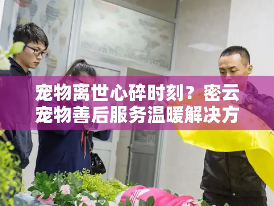 宠物离世心碎时刻？密云宠物善后服务温暖解决方案