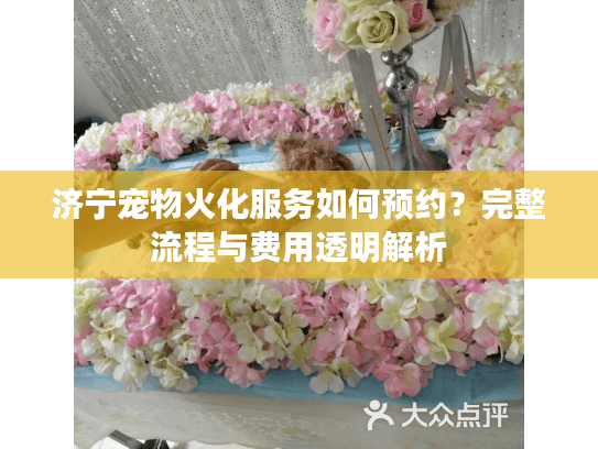 济宁宠物火化服务如何预约？完整流程与费用透明解析