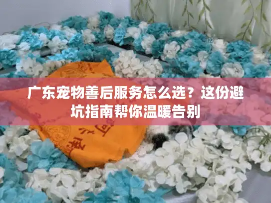 广东宠物善后服务怎么选？这份避坑指南帮你温暖告别