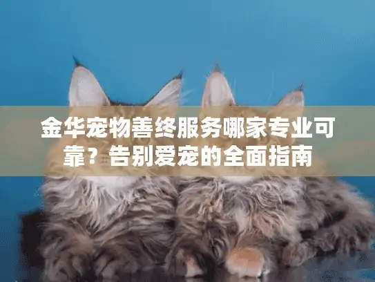 金华宠物善终服务哪家专业可靠？告别爱宠的全面指南