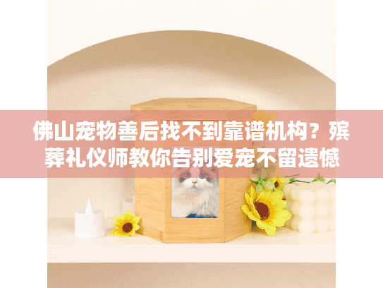 佛山宠物善后找不到靠谱机构?殡葬礼仪师教你告别爱宠不留遗憾 佛山宠物善后找不到靠谱机构?殡葬礼仪师教你告别爱宠不留遗憾