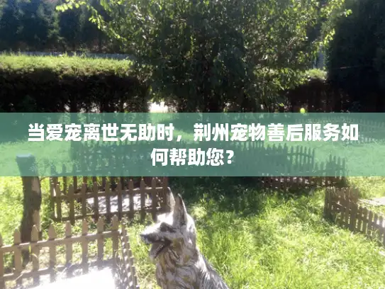 当爱宠离世无助时,荆州宠物善后服务如何帮助您? 当爱宠离世无助时,荆州宠物善后服务如何帮助您?