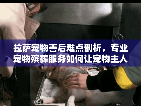 拉萨宠物善后难点剖析，专业宠物殡葬服务如何让宠物主人重获安心