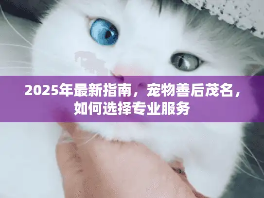 2025年最新指南,宠物善后茂名,如何选择专业服务 2025年最新指南,宠物善后茂名,如何选择专业服务
