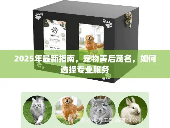 2025年最新指南,宠物善后茂名,如何选择专业服务 2025年最新指南,宠物善后茂名,如何选择专业服务