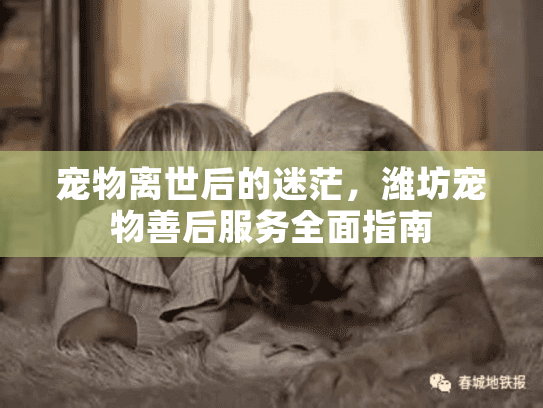 宠物离世后的迷茫，潍坊宠物善后服务全面指南