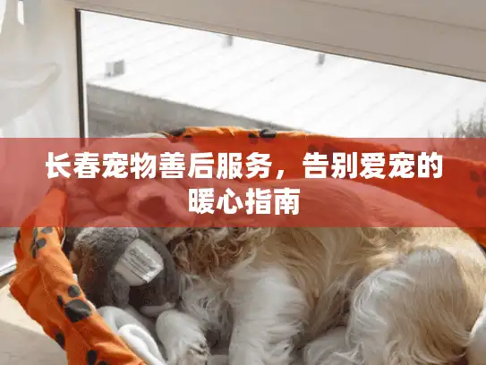 长春宠物善后服务，告别爱宠的暖心指南