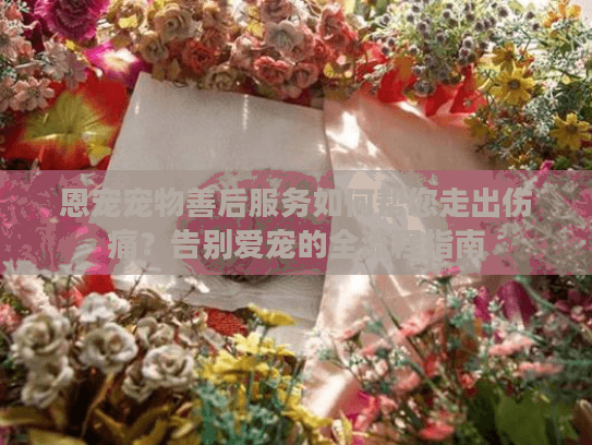 恩宠宠物善后服务如何帮您走出伤痛？告别爱宠的全流程指南