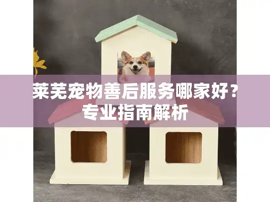 莱芜宠物善后服务哪家好？专业指南解析