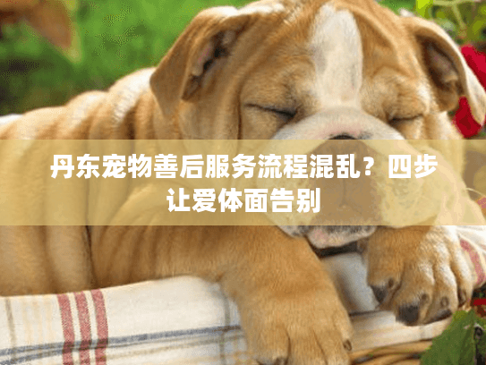 丹东宠物善后服务流程混乱?四步让爱体面告别 丹东宠物善后服务流程混乱?四步让爱体面告别