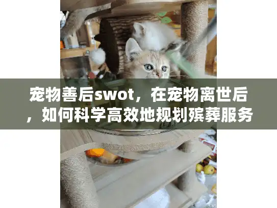 宠物善后swot,在宠物离世后,如何科学高效地规划殡葬服务? 宠物善后swot,在宠物离世后,如何科学高效地规划殡葬服务?