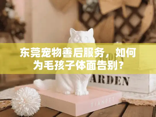 东莞宠物善后服务，如何为毛孩子体面告别？