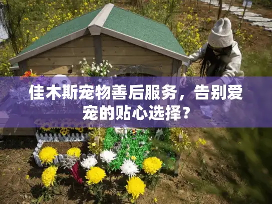 佳木斯宠物善后服务,告别爱宠的贴心选择? 佳木斯宠物善后服务,告别爱宠的贴心选择?