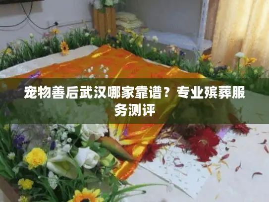 宠物善后武汉哪家靠谱？专业殡葬服务测评