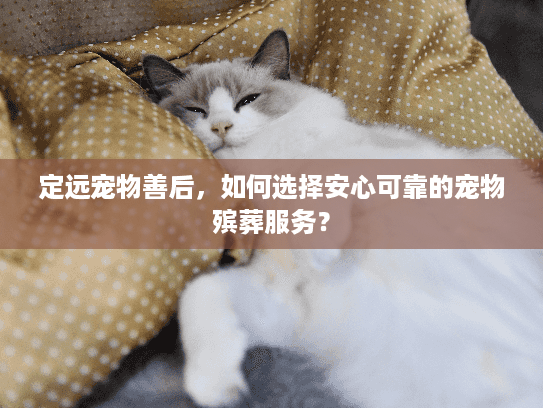 定远宠物善后，如何选择安心可靠的宠物殡葬服务？