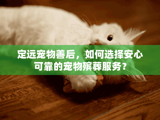定远宠物善后，如何选择安心可靠的宠物殡葬服务？