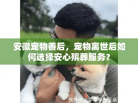 安徽宠物善后,宠物离世后如何选择安心殡葬服务? 安徽宠物善后,宠物离世后如何选择安心殡葬服务?
