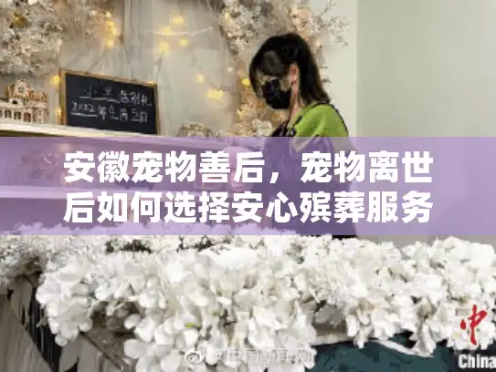 安徽宠物善后,宠物离世后如何选择安心殡葬服务? 安徽宠物善后,宠物离世后如何选择安心殡葬服务?
