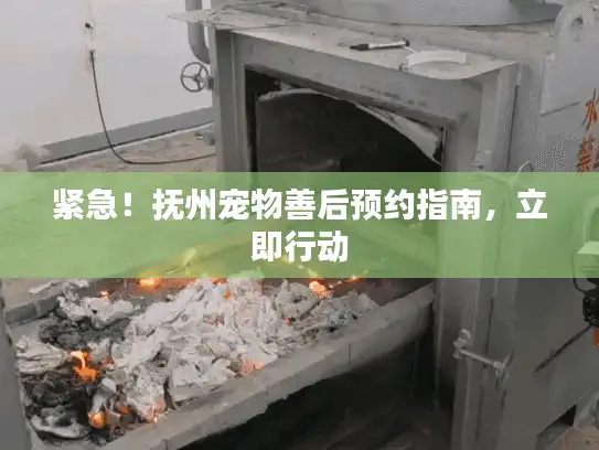 紧急!抚州宠物善后预约指南,立即行动 紧急!抚州宠物善后预约指南,立即行动