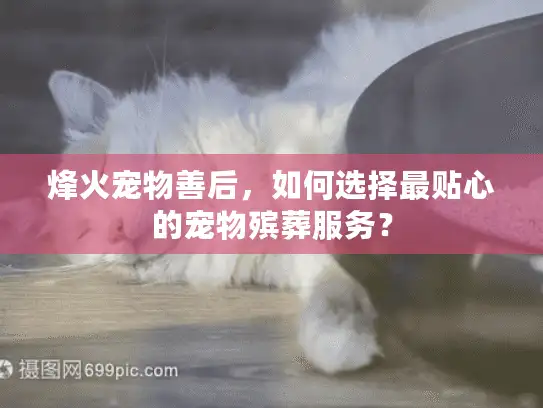 烽火宠物善后，如何选择最贴心的宠物殡葬服务？