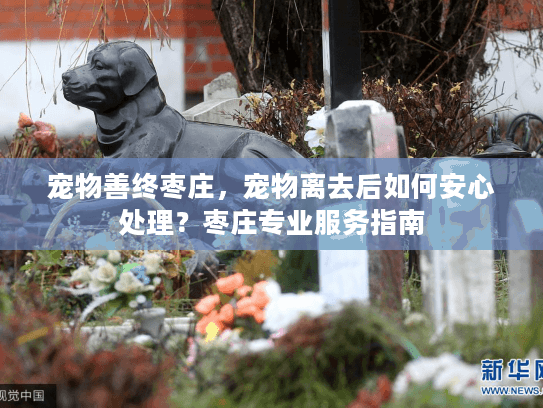 宠物善终枣庄，宠物离去后如何安心处理？枣庄专业服务指南