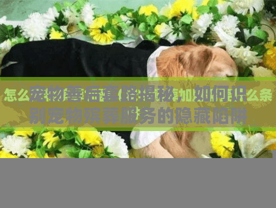 宠物善后套路揭秘，如何识别宠物殡葬服务的隐藏陷阱？