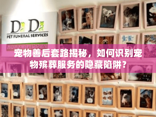 宠物善后套路揭秘，如何识别宠物殡葬服务的隐藏陷阱？