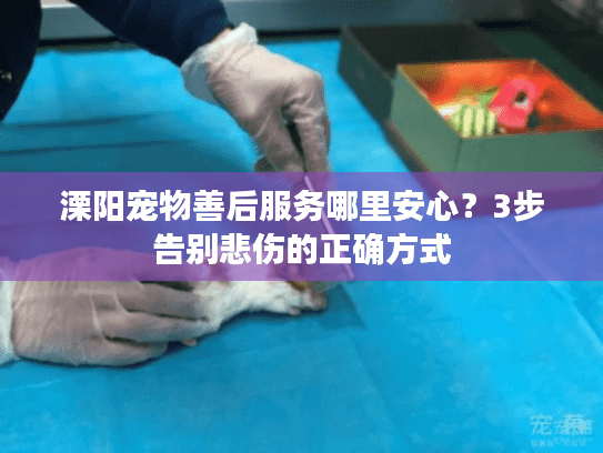 溧阳宠物善后服务哪里安心？3步告别悲伤的正确方式