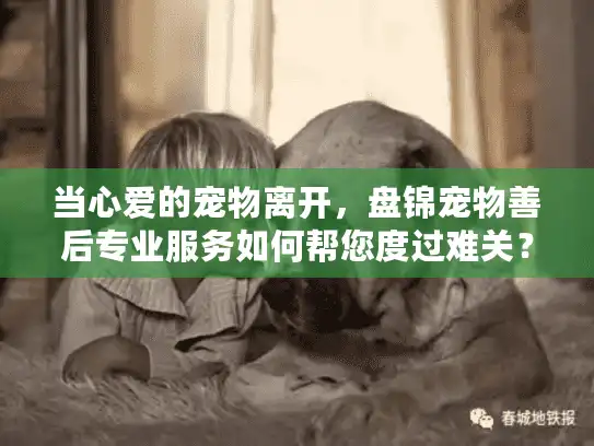 当心爱的宠物离开，盘锦宠物善后专业服务如何帮您度过难关？