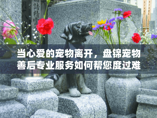 当心爱的宠物离开，盘锦宠物善后专业服务如何帮您度过难关？