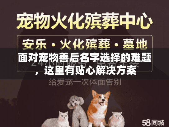 面对宠物善后名字选择的难题,这里有贴心解决方案 面对宠物善后名字选择的难题,这里有贴心解决方案