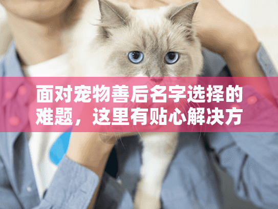 面对宠物善后名字选择的难题,这里有贴心解决方案 面对宠物善后名字选择的难题,这里有贴心解决方案