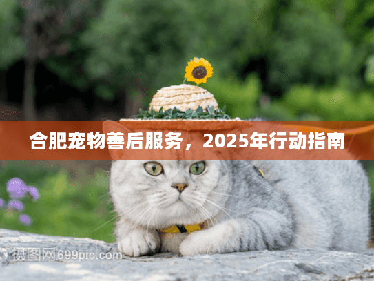 合肥宠物善后服务，2025年行动指南