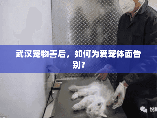 武汉宠物善后，如何为爱宠体面告别？