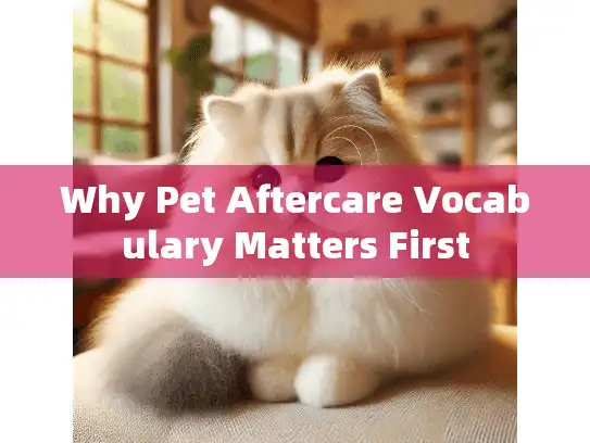 Why Pet Aftercare Vocabulary Matters First
