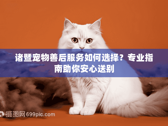 诸暨宠物善后服务如何选择？专业指南助你安心送别