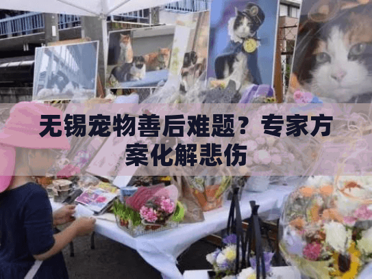 无锡宠物善后难题？专家方案化解悲伤