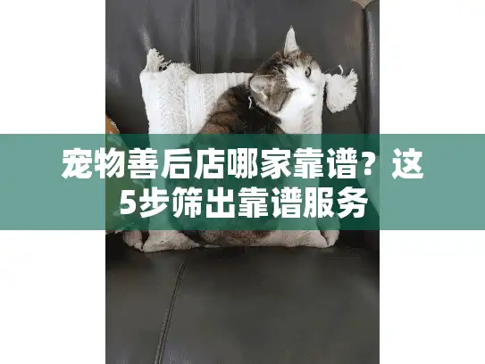 宠物善后店哪家靠谱？这5步筛出靠谱服务