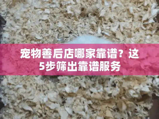宠物善后店哪家靠谱？这5步筛出靠谱服务