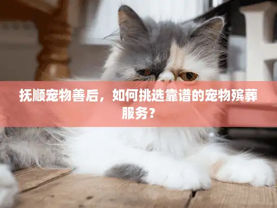 抚顺宠物善后，如何挑选靠谱的宠物殡葬服务？