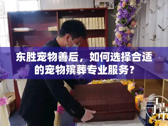 东胜宠物善后,如何选择合适的宠物殡葬专业服务? 东胜宠物善后,如何选择合适的宠物殡葬专业服务?
